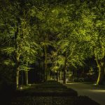 Atmospheric outdoor lighting by light artist Lars Mallant, illuminating a tree-lined driveway with carefully placed spotlights. A harmonious play of shadow and light highlights the natural elegance of the landscape.