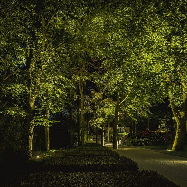 Green Avenue Atmospheric outdoor lighting by light artist Lars Mallant, illuminating a tree-lined driveway with carefully placed spotlights. A harmonious play of shadow and light highlights the natural elegance of the landscape.